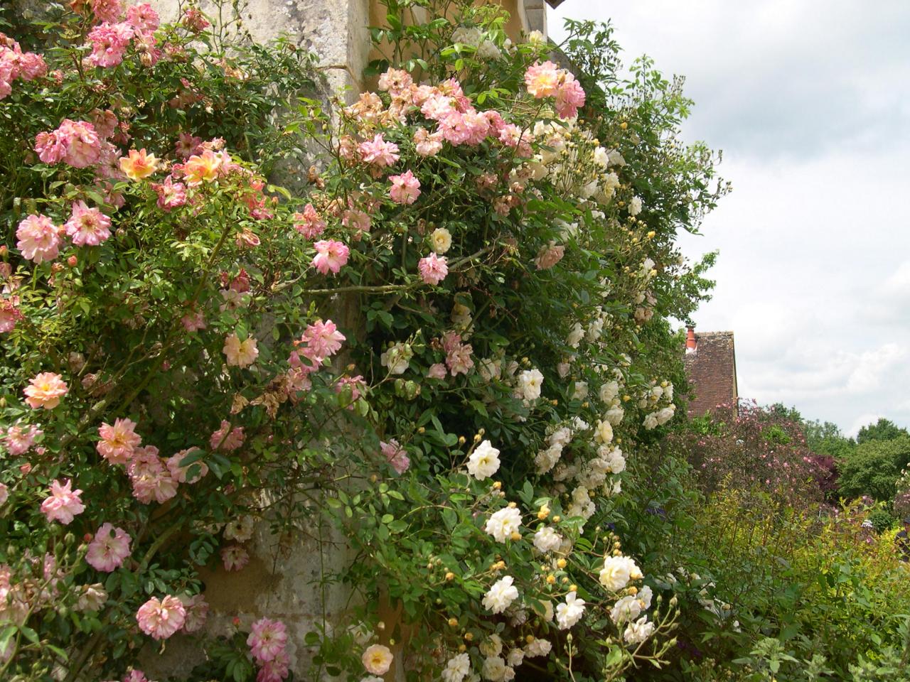 Visites Jardins 10