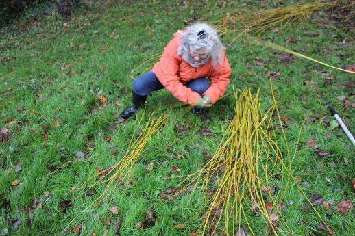 coupe automne 23 5