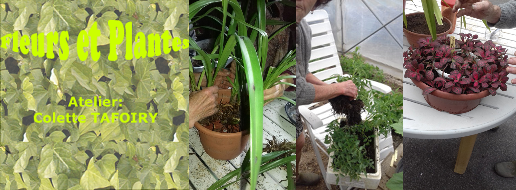 Atelier fleurs plantes modifie 1