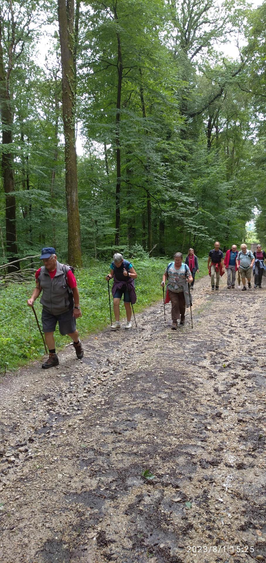 Chemin de la herse