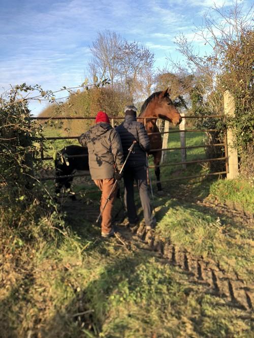 Dec 2022 bretoncelles 2