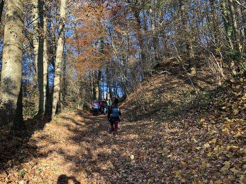 Dec 2022 bretoncelles 3